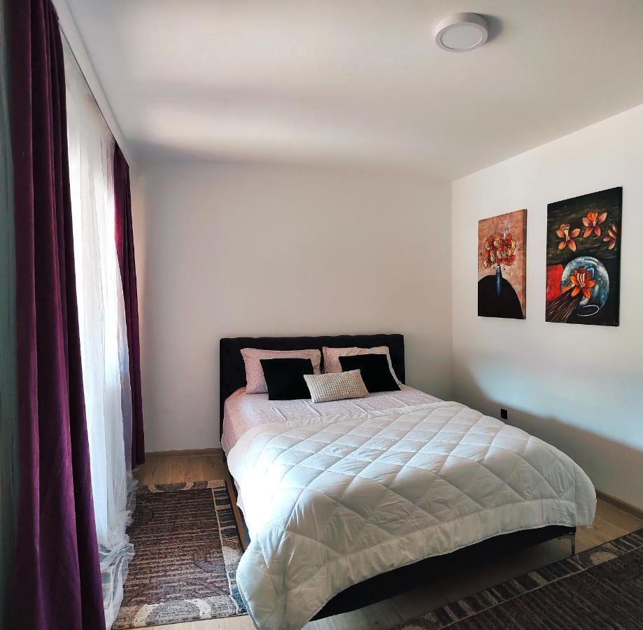Spacious And Modern Apartment In Town Center Конич Екстериор снимка